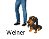 Weiner