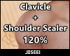 Clavicle + Shoulder 120%