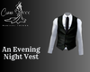 An Evening Night Vest
