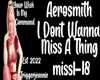 Aerosmith-I Dont Wanna M