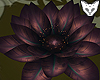 [NW]Goddess Lotus