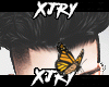 յr | Nocturnal