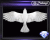 ◎DJ Light(Pigeon)