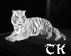 ~TK~White Cuddle Tiger