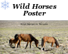 Western Wild Horses