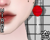 空 Lollipop Red 空