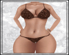Sexy Undies Brown