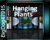 [BD]HangingPlants