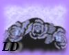 Lilac Black Rose band