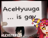[A] AceHyuuga is Gay