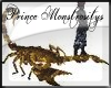 {PM}A Pet Scorpion