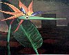 Painting by Man Ray