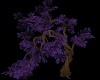 Purple Autumn tree