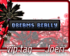 j| Dreams Really Do