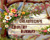 country  runway