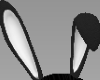 [EH] BLACK BUNNY EARS F