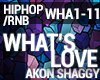 Akon Shaggy - Whats Love