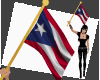 Hold Flag Puerto Rico HF