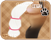 [Pets] Phar | tail v7