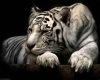 white tiger cuddle chair