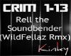 Criminal (WildFellaz Rmx