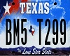 TEXAS LICENSE PLATE