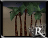 [RB] Nigth Beach Palm