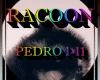 RACOON PEDRO+D