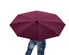 Umbrella Purple M/F