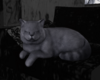 LOONA
