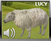 LC Sheep Animal+Sound