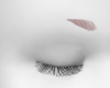 Nekokami Brows Pinku!