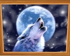 CB♥ Howling Wolf  Pic