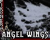 ^P^ ANGEL LITTLE WINGS