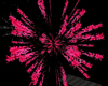 fireworks pink starburst