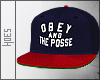 Obey and The Posse Snpbk