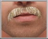 Moustache Blonde V3