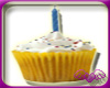 Birthday Cupcake!