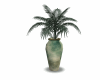 vases plants