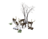 Reindeers