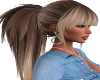 Ombre Ponytail