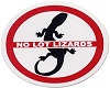 No Lot Lizards
