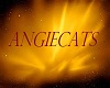 THE ANGIECATS CLUB