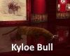 [BD] Kyloe Bull