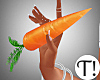 T! Carrot In Hand F