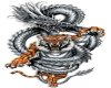 Dragon/tiger hoody
