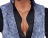Denim Vest w/Shirt