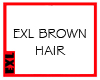 [EXL] Brown hair GNR