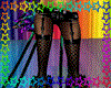 ♕black stockings