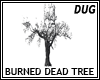 (D) Burned Dead Tree